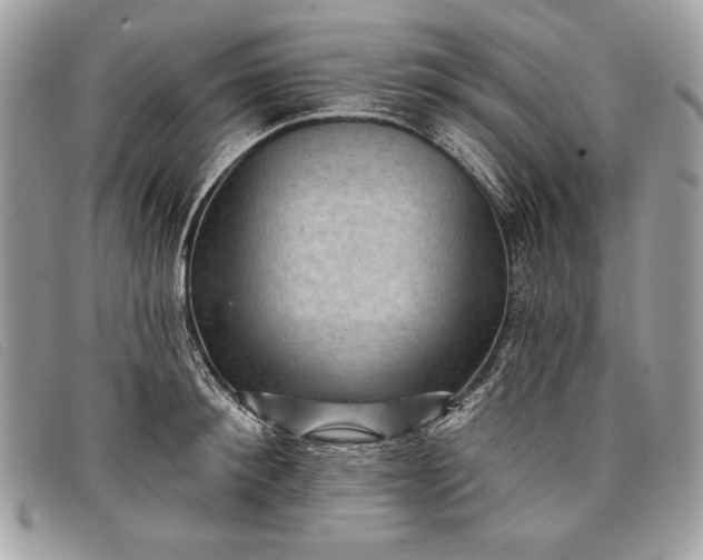 X0000098010900200804111230