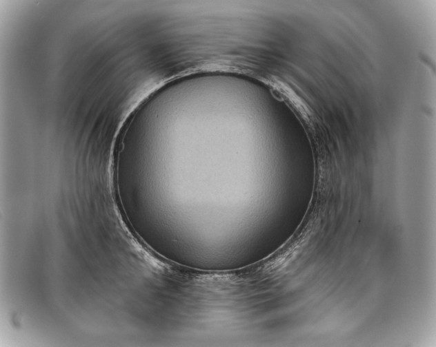 X0000098010902200804111230