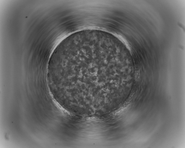 X0000098010903200804111230