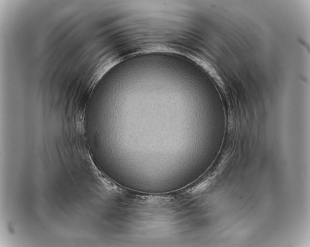 X0000098010905200804111230