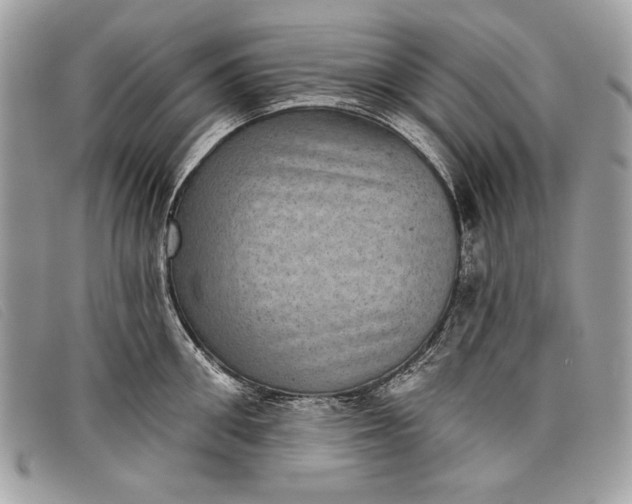 X0000098010906200804111230