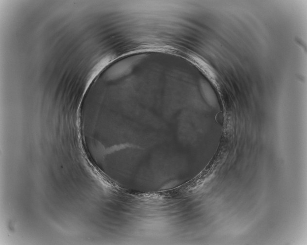 X0000098010907200804111230