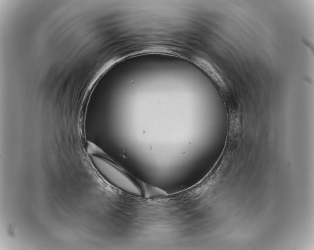 X0000098010908200804111230