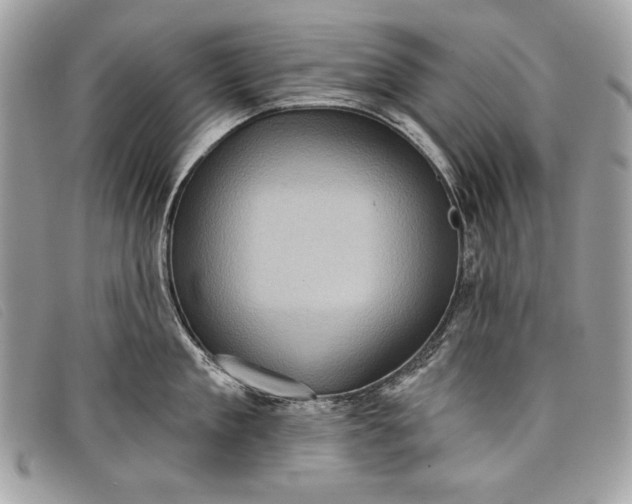 X0000098010909200804111230