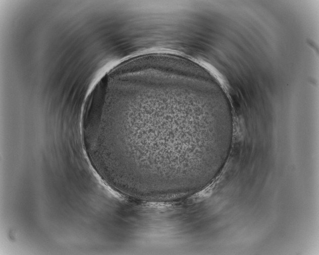 X0000098010910200804111230