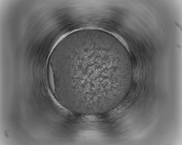 X0000098010911200804111230