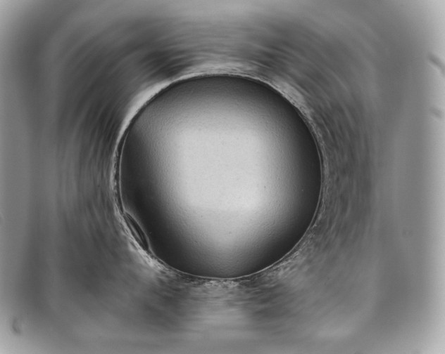 X0000098010912200804111230