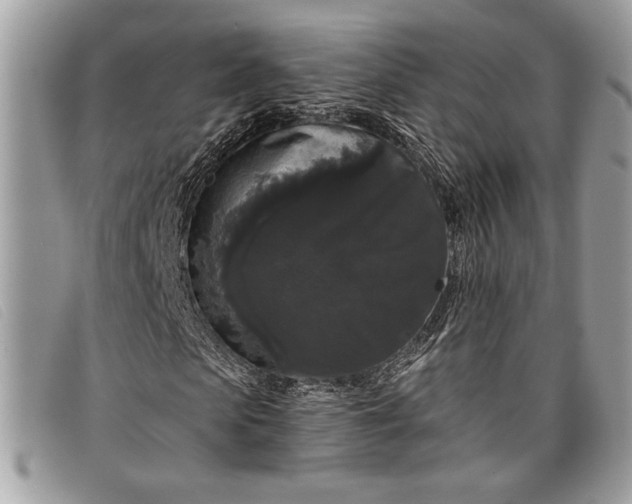 X0000098010913200804111229