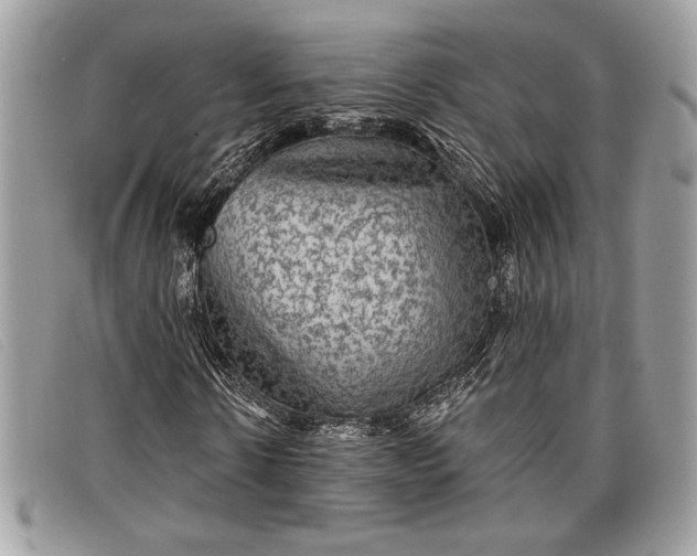 X0000098010914200804111229