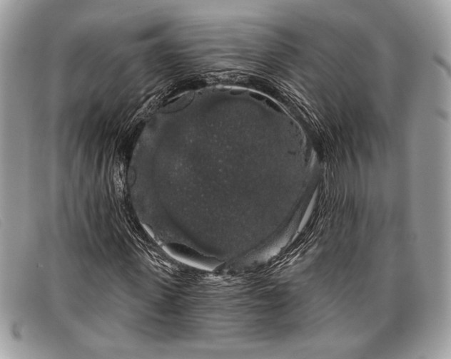 X0000098010915200804111229