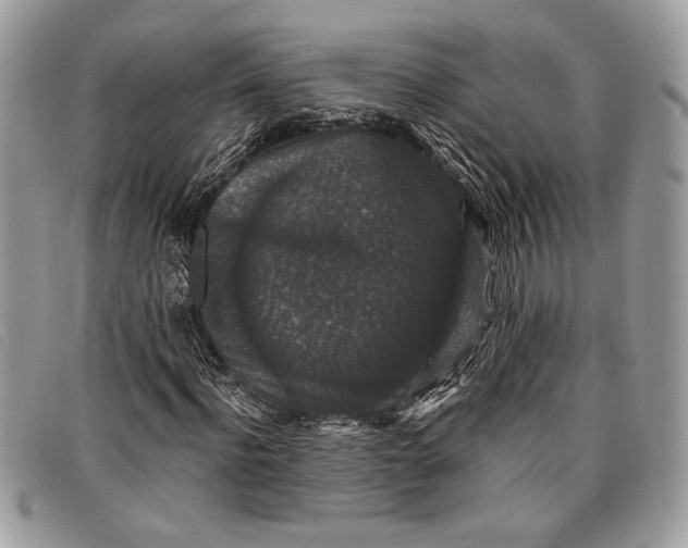 X0000098010916200804111229