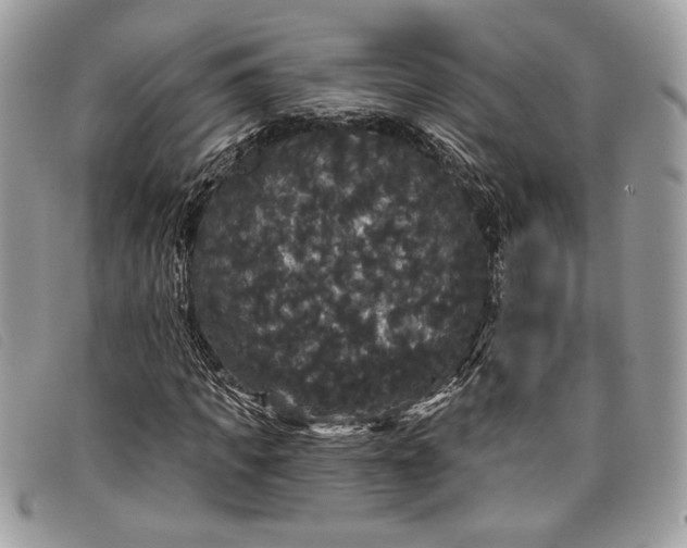 X0000098010917200804111229