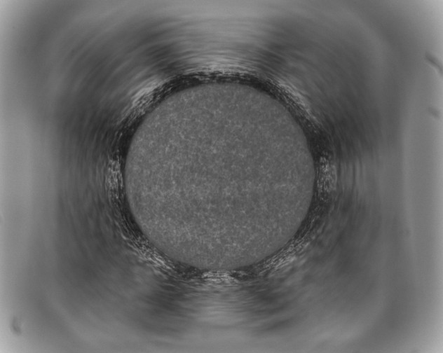 X0000098010918200804111229