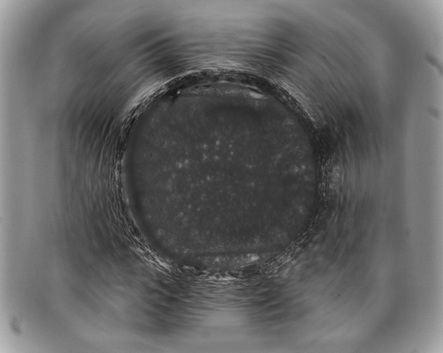 X0000098010919200804111229