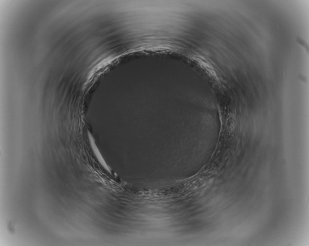 X0000098010920200804111229