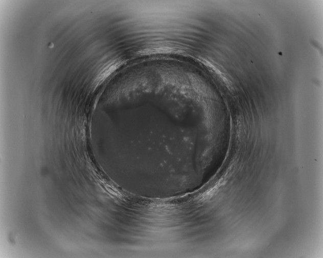 X0000098010921200804111229