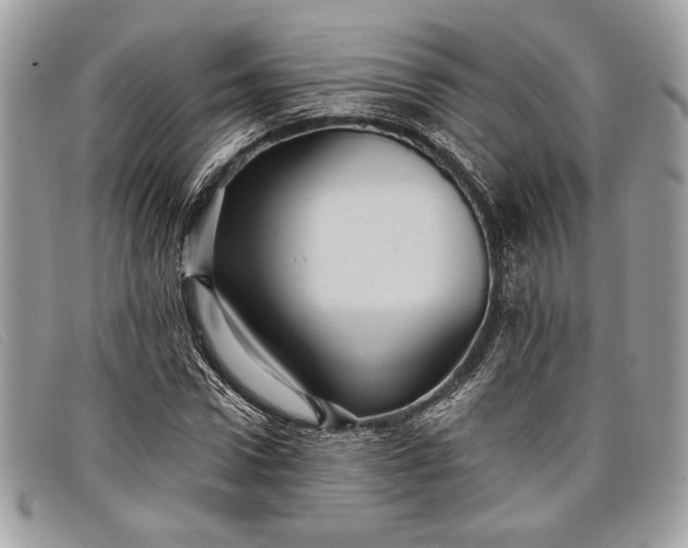 X0000098010922200804111229