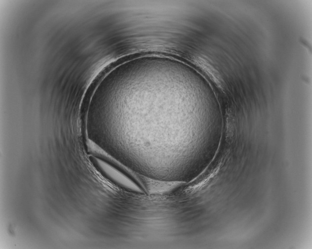 X0000098010924200804111229