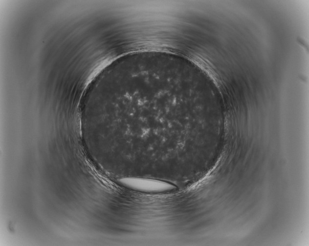 X0000098010925200804111229