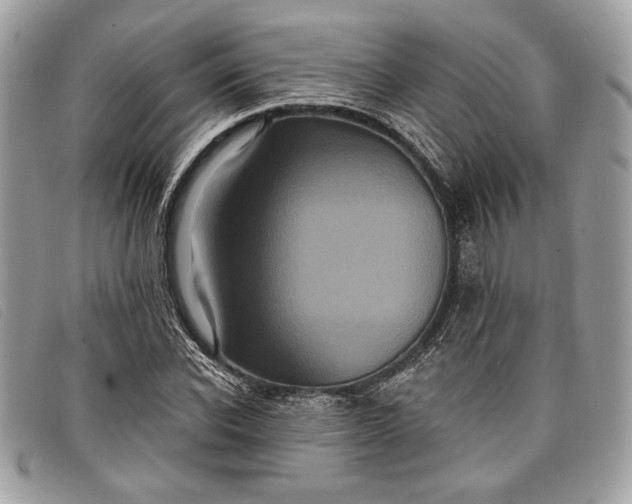 X0000098010926200804111229