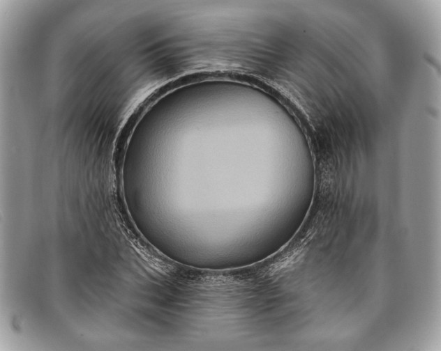 X0000098010927200804111229