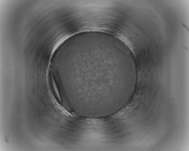 X0000098010928200804111229