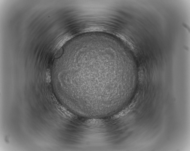 X0000098010929200804111229