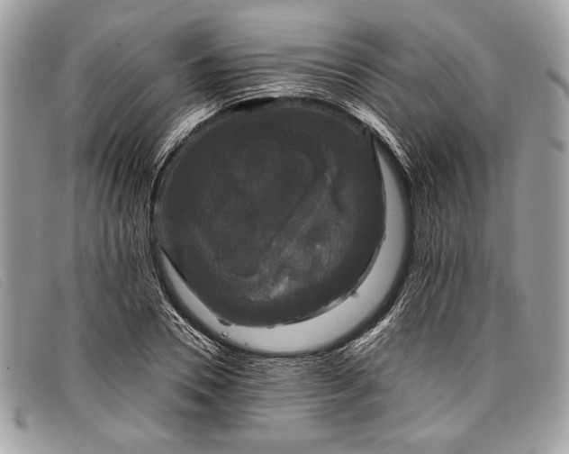 X0000098010930200804111229