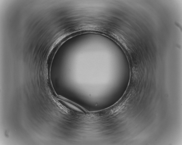 X0000098010931200804111229