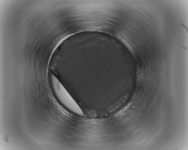 X0000098010932200804111229