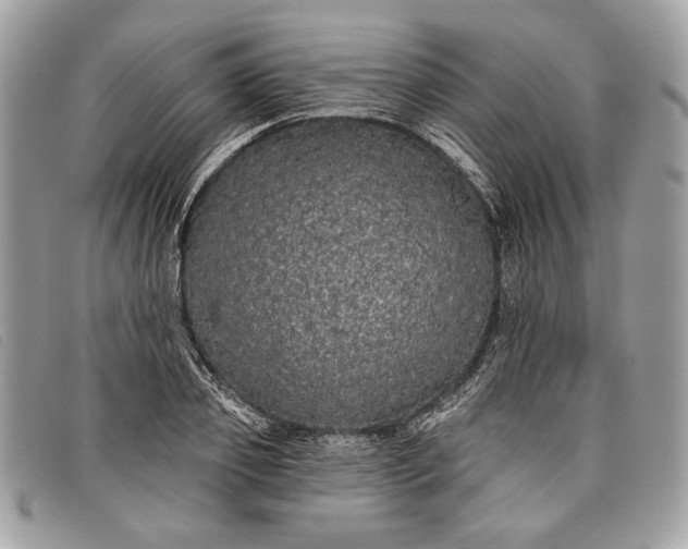 X0000098010933200804111229