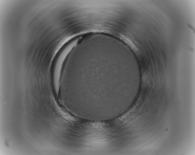 X0000098010934200804111229