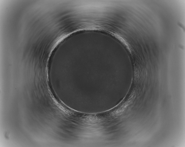 X0000098010935200804111229