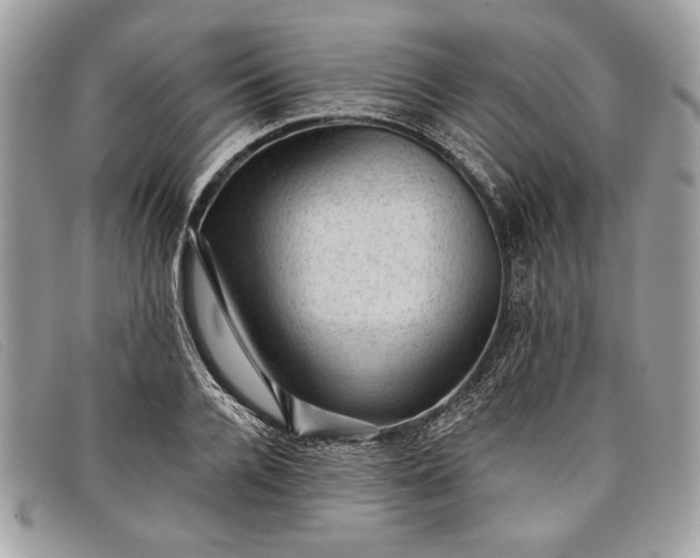 X0000098010936200804111229