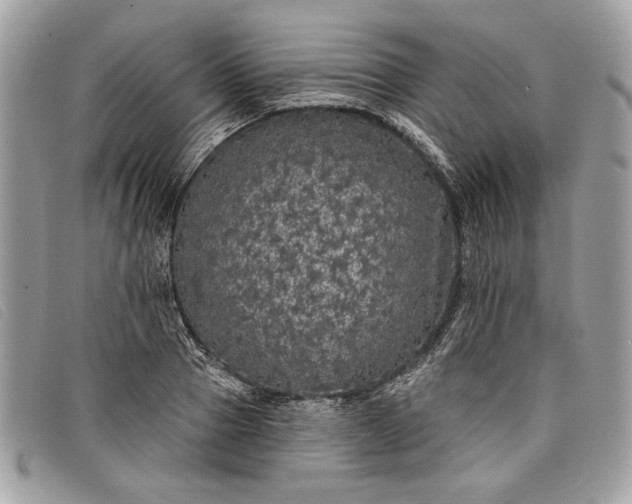 X0000098010937200804111229