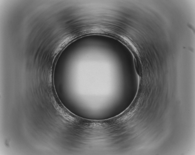 X0000098010938200804111229