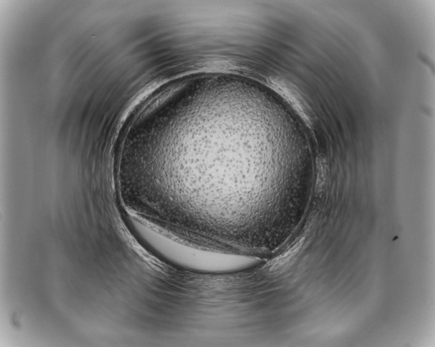 X0000098010939200804111229