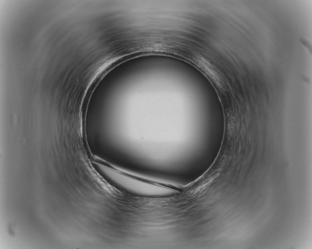 X0000098010940200804111229