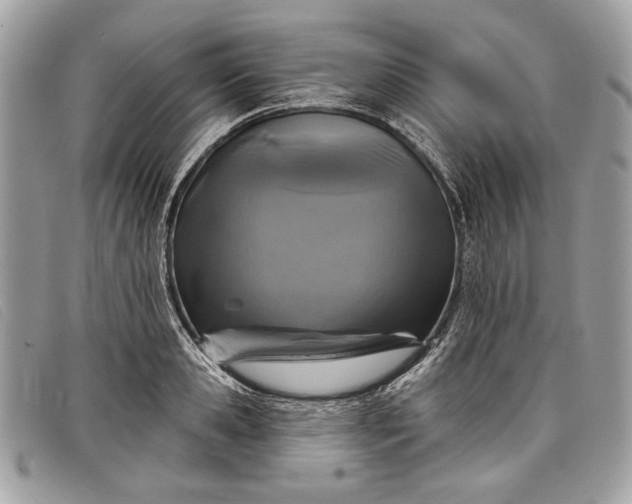 X0000098010941200804111229