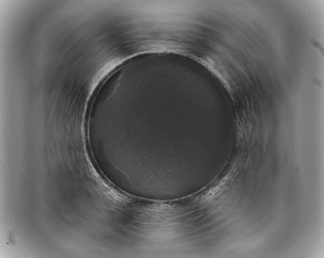 X0000098010943200804111229