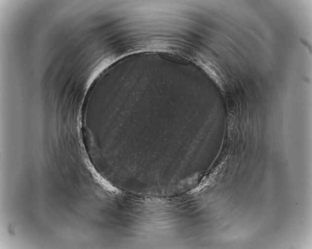 X0000098010944200804111229