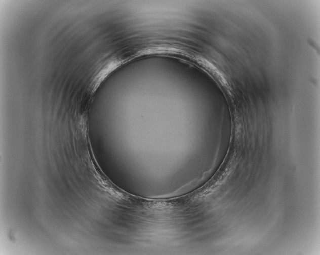 X0000098010945200804111229