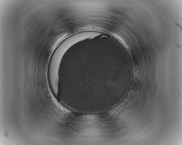 X0000098010946200804111229