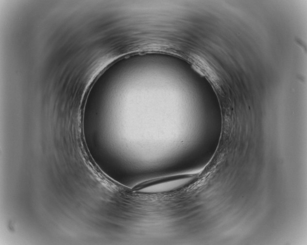 X0000098010948200804111229