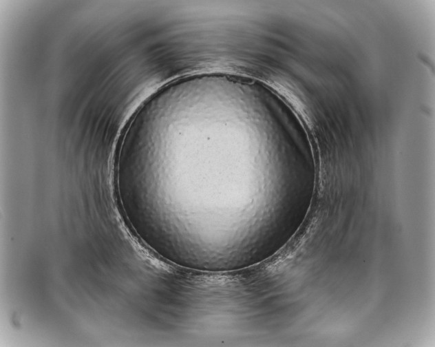 X0000098010949200804111229