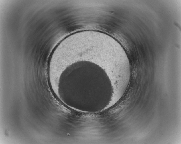 X0000098010950200804111229