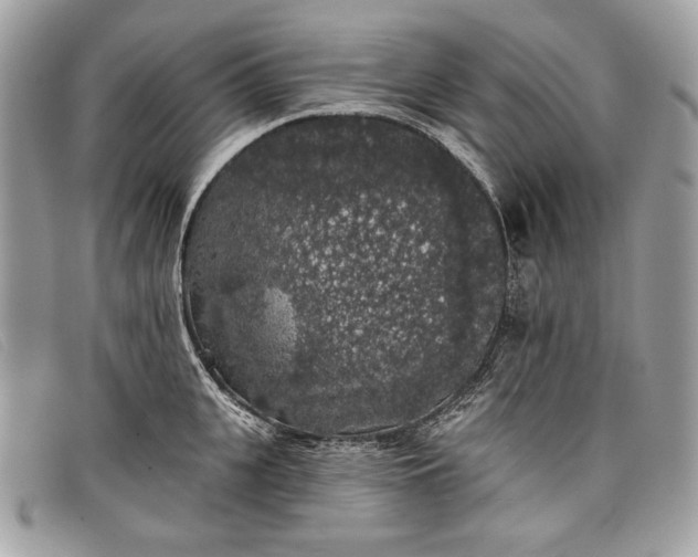 X0000098010951200804111229