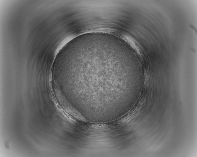 X0000098010952200804111229