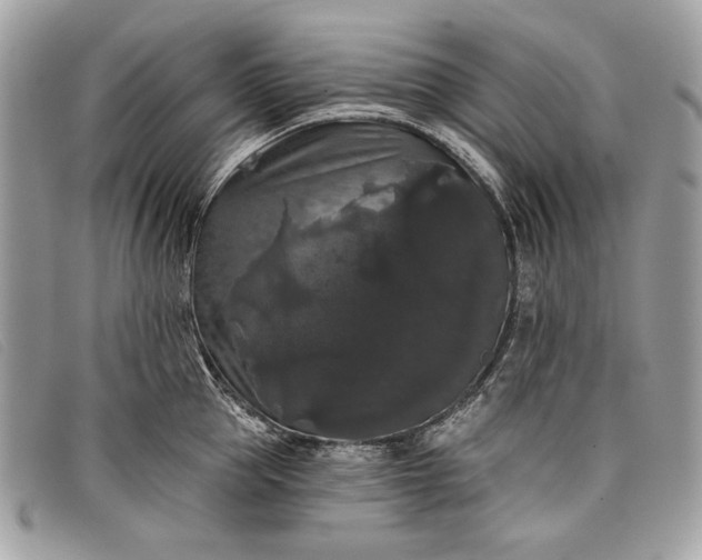 X0000098010953200804111229