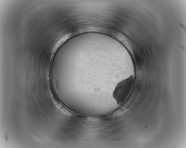 X0000098010954200804111229